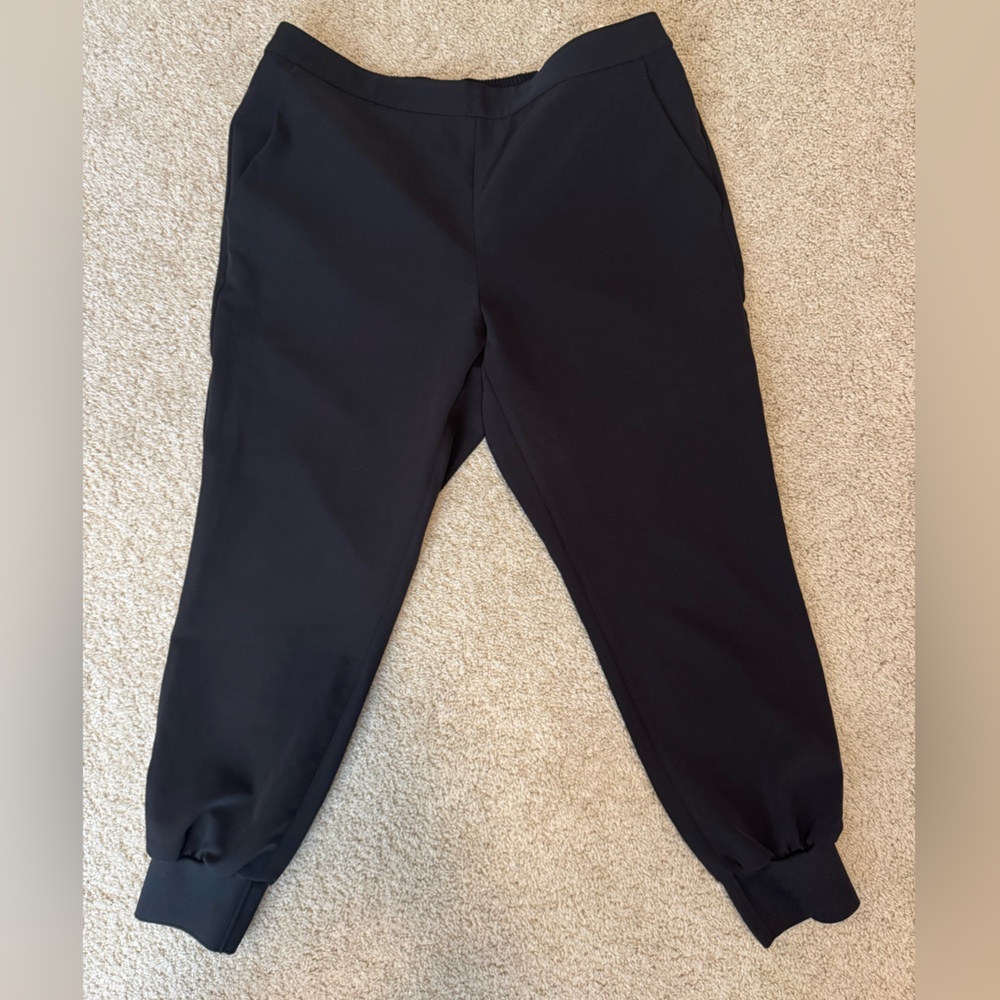 Brand new with tags! Express dressy joggers